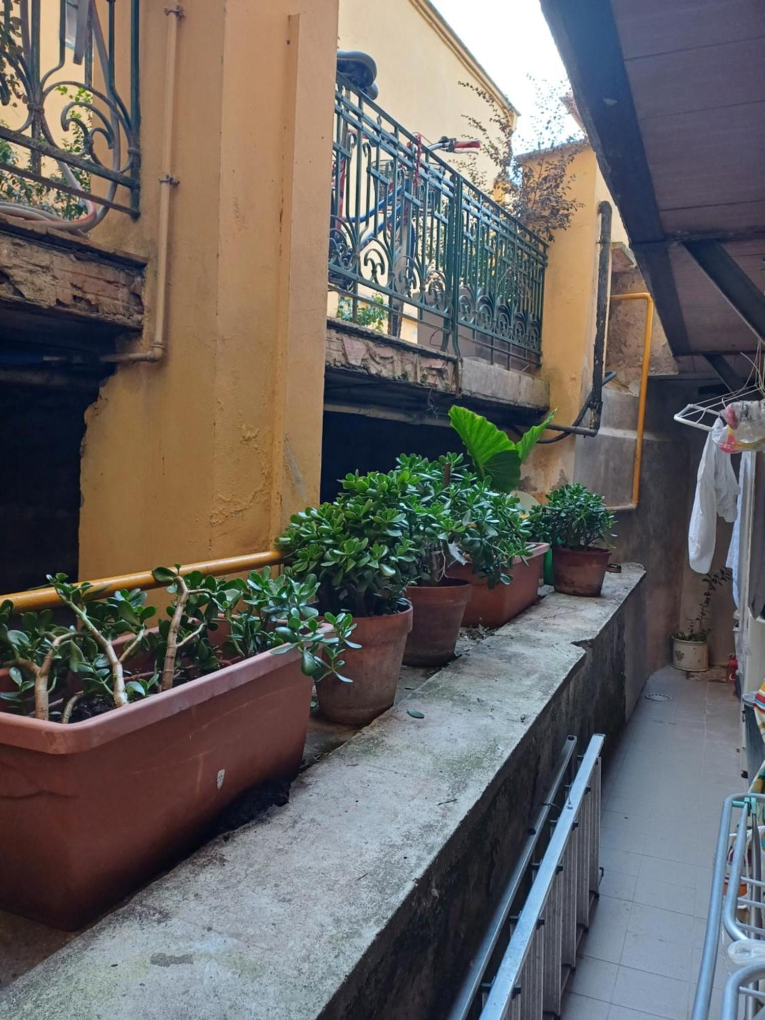 Gianicolo Sweet Home Ρώμη Εξωτερικό φωτογραφία